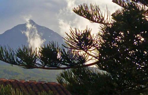 Azores Youth Hostels - Pico São Roque do Pico Exterior foto